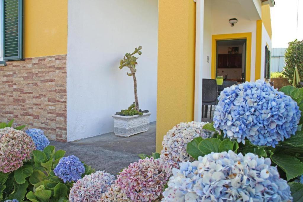 Casas Da Boa Vista Βίλα Horta  Εξωτερικό φωτογραφία